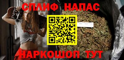 молекула духа Пугачёв