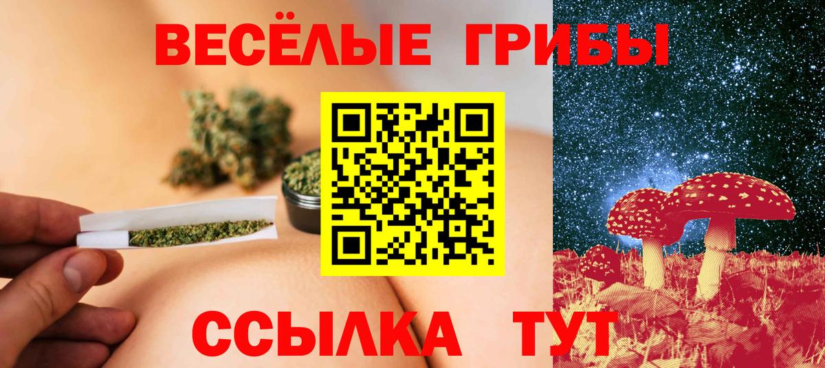 Псилоцибиновые грибы Magic Shrooms  Псилоцибиновые грибы GOLDEN TEACHER  Сосновый Бор  Вход с VPN 